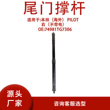 74981TG7306 ���� ������⣩ PILOT �ң������磩74981TG7306