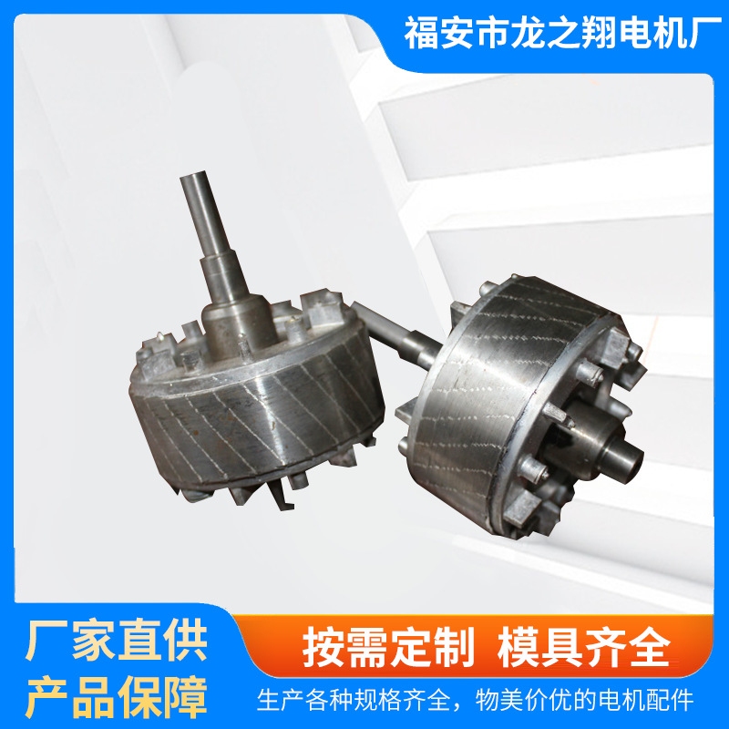 厂家直供电动机转子 微型转子 厂家供应