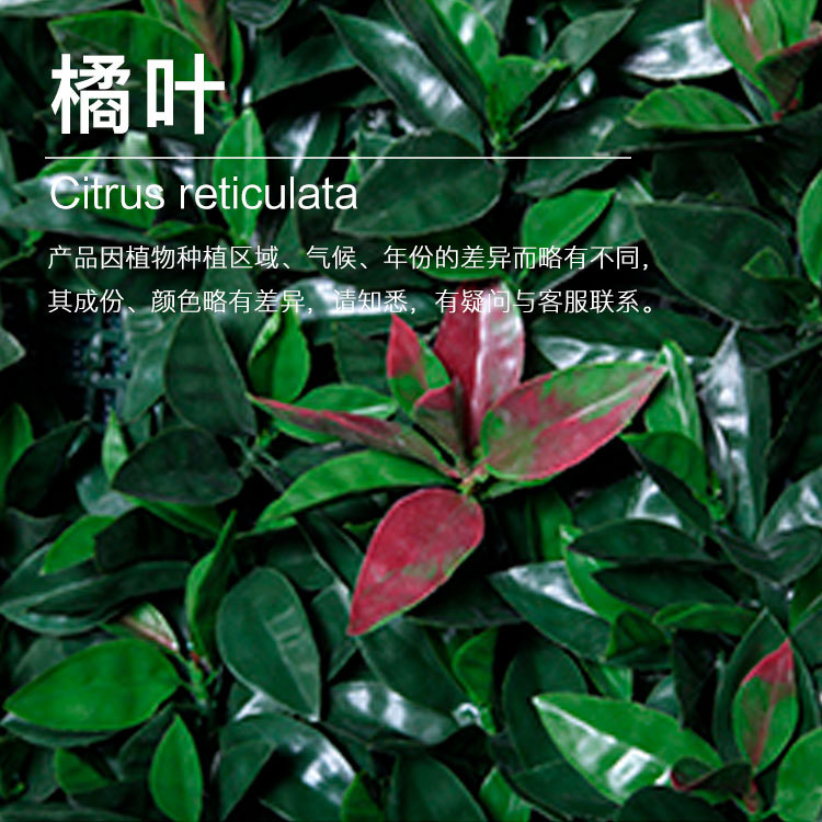 ���ҹ�Ӧ��Ҷ���� ������ȡ�������� ֲ��������������ӭ�ɹ�