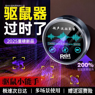 �������2025�¿�������ǳ�����s���������؈����������