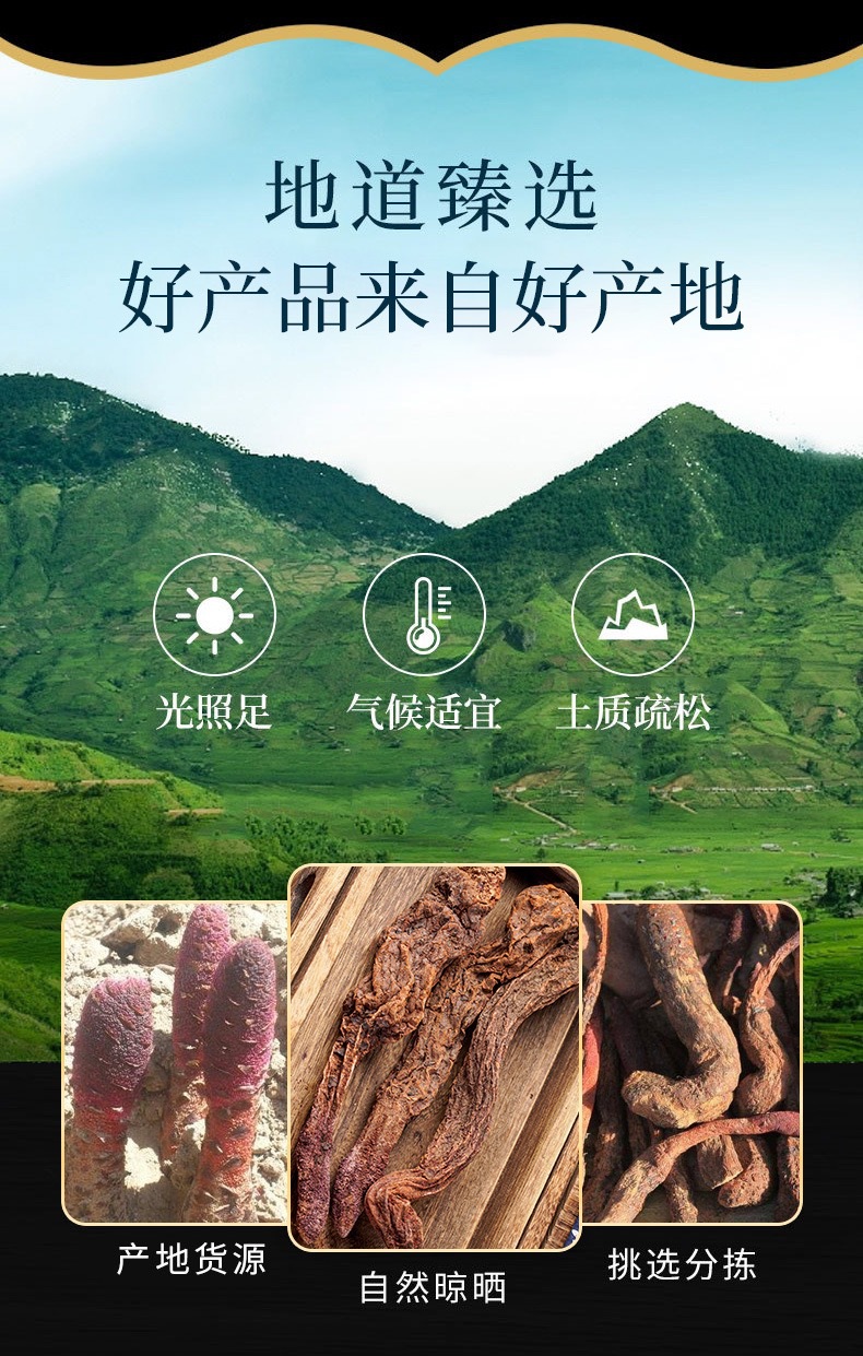 Cynomorium Songaricum Slices Alashan Suo Yang Dried Herb TCM Decoction Pieces 250g overview
