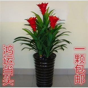 �t�\���^���辰�滨���Կ͏d��ȫ���ͺ��̓����m�϶��첻����N��