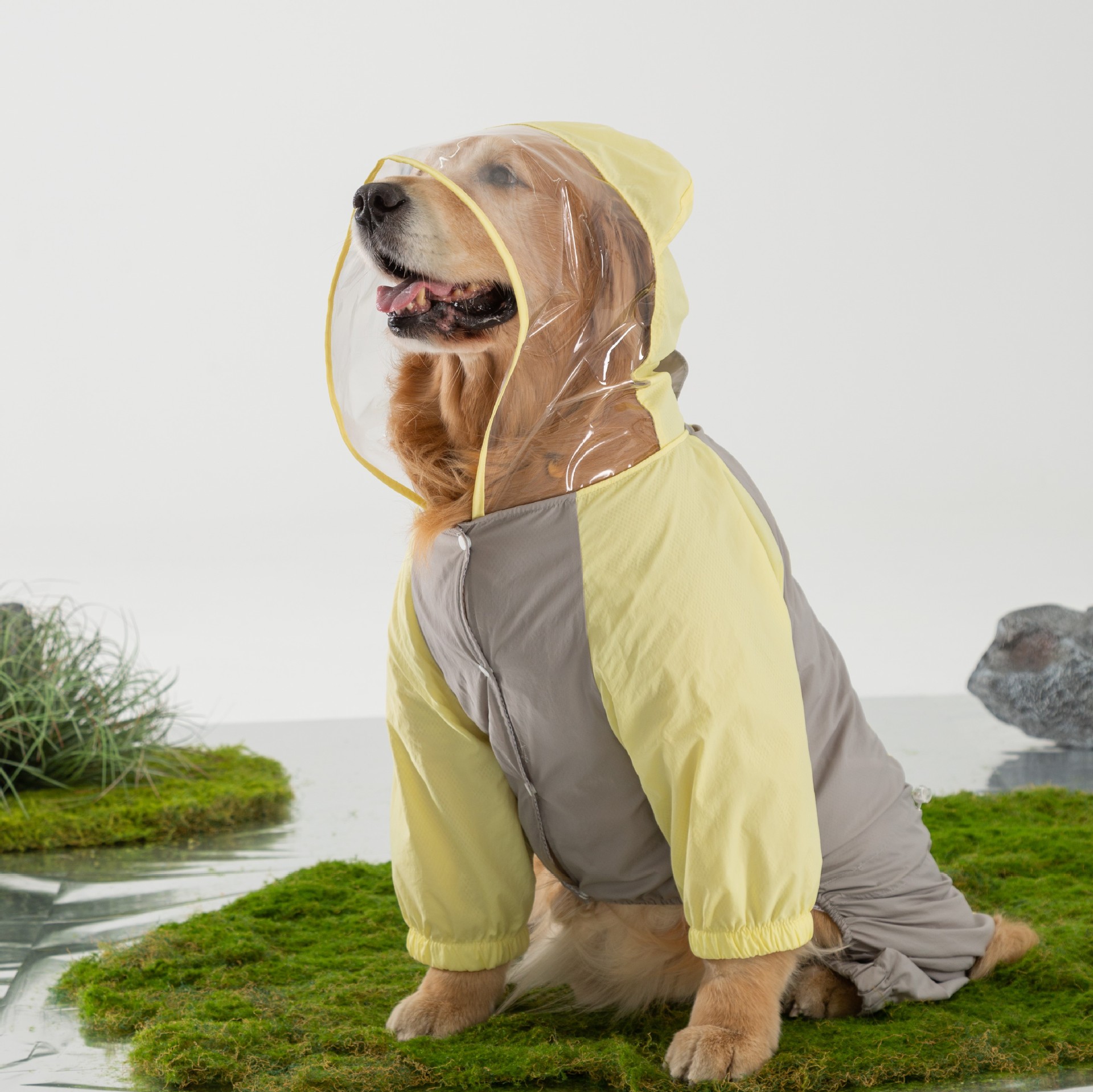 Impermeable para perros grandes, de verano, diseño simple, protección contra la lluvia para viajes al aire libre, ropa para perros Labrador.