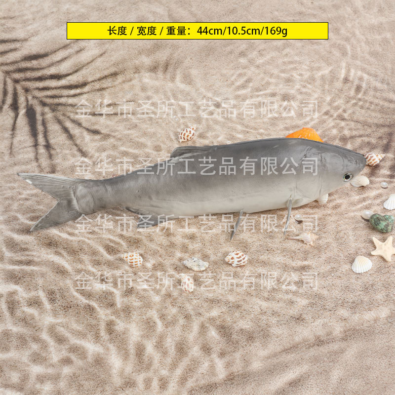 큰 머리 물고기