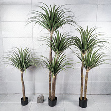 ������Ѫ�䄦��z�m�����Ժ��m�F��Gֲ���ԼҾ��b���Gֲ