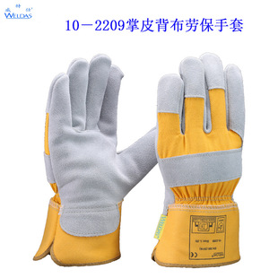 ������ţƤ����10-2209��Ƥ��������늺�����͸�⺸���������l
