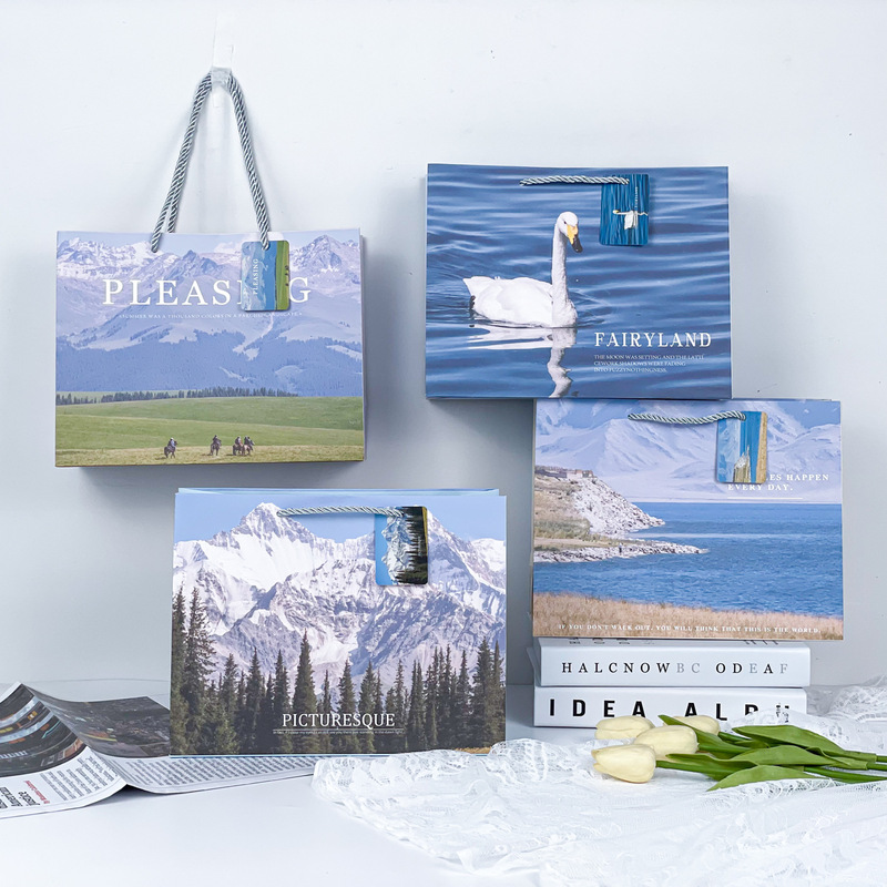 Special price horizontal medium gift bag oil painting ins style high-grade handbag kraft paper exquisite cute paper bag wholesale