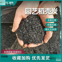 ����̿���l�ʘ�̼����Ó��ľ�Ұl�͹Ț��@ˇ̿10���������