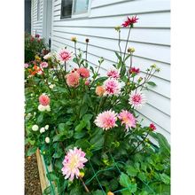 N̫ꖻN׻ͥԺNļN_