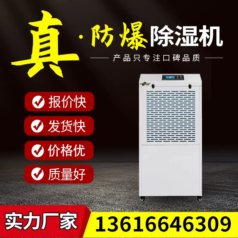 Промышленный класс взрывозащищенный осушитель большой мощности сверхтихий осушитель влагоочиститель склад подвал Химический завод