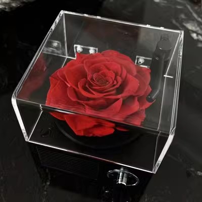 Flor eterna fonógrafo Luz de gama alta de lujo altavoz Bluetooth Rosa caja de música Regalo de Cumpleaños de los hombres para la novia