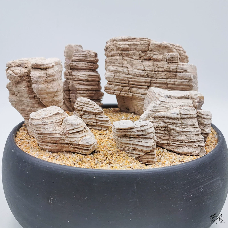 Rockery многослойная комбинация тонких линий многослойный аквариум с драконом пейзаж Рокery каменный микропейзаж