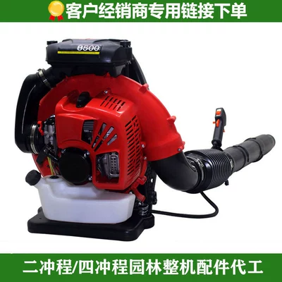 Gasoline Engine Blower, Fire Extinguisher, Gasoline Engine Oil - ebz8500-blower-two-stroke