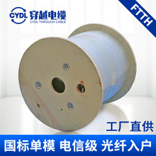 Ƥ�����w���|��ż�FTTH���w���1о/2о��ģ�����҃���