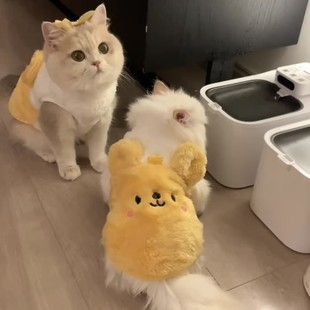 Cute Kitten Clothes Autumn and Winter Warm fleece-lined Vest Silver Gradual Muppet Blue Cat Kitten Pet Cold-proof Clothes