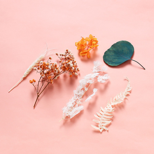 Preserved Flower Dried Flower Material Pack Floating Flower DIY Mini Pressed Flower Box Frame Fan Scented Droplet Resin Material Pack