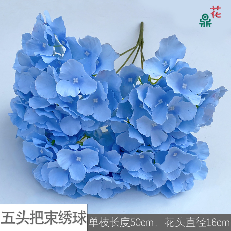 Five -headed hosem LS light blue