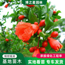 ���س��ۅ�����ʯ����ͥԺ�^�pֲ��Ҏ���Rȫ���U�ΗUĵ����ʯ��