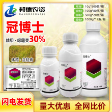 �ڲ�ʿ 30%����˪�`��ù�`�˅��������ݲ�⧵����������rș������