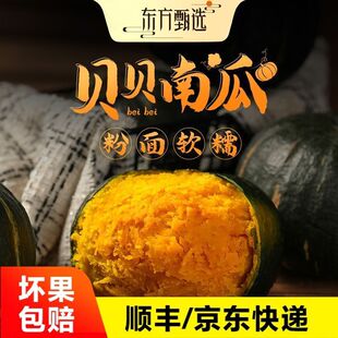 �|�����xؐؐ�Ϲχ��aƷ�N��ā4.8���b�Ĺ����rSF