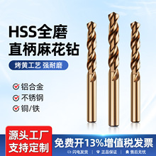 M35含钴麻花钻高硬度钻铁钢不锈钢专用直柄麻花钻头大全打孔钢铁