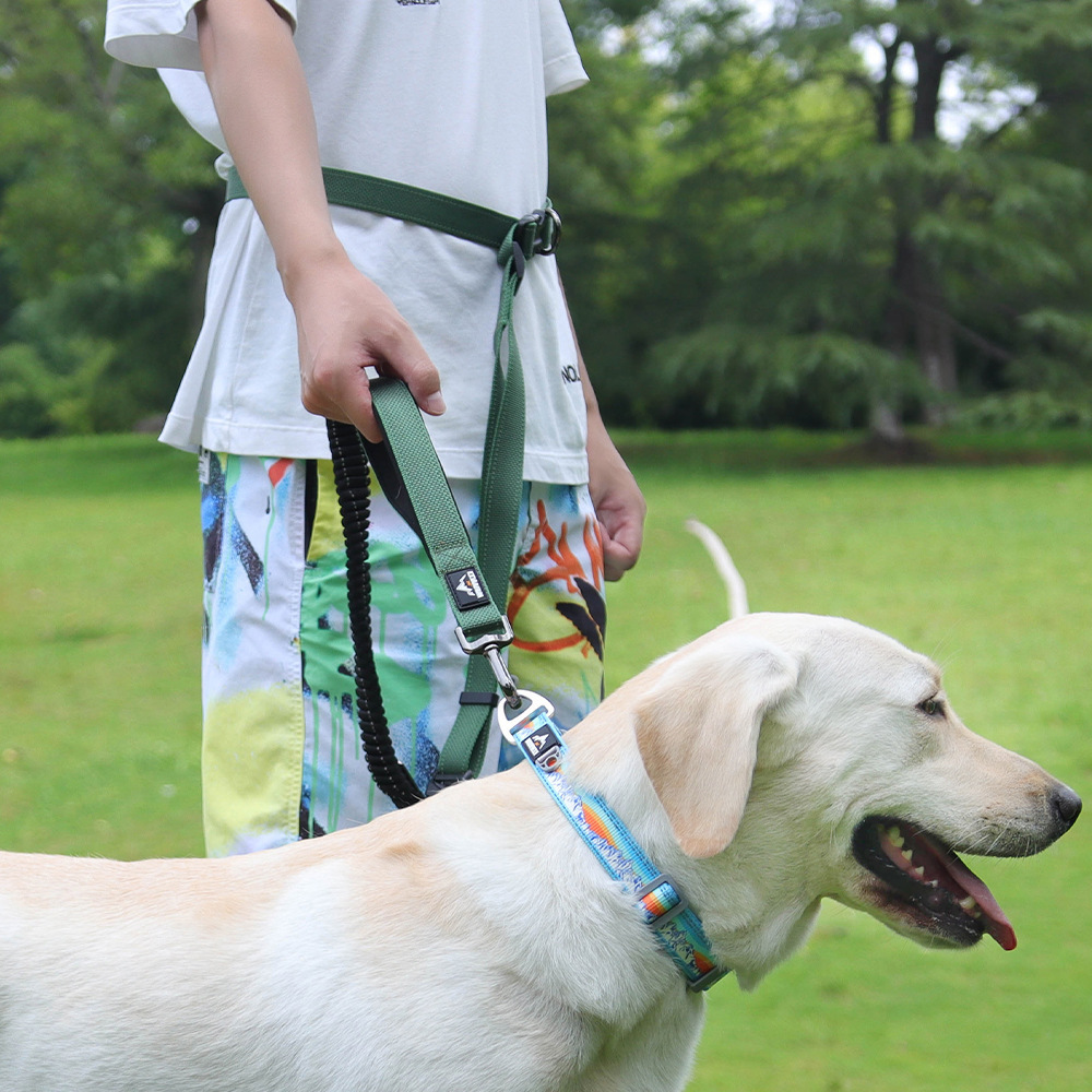 Corda de tracción de perros de grado de carrera de perros corda de tracción de perros a prueba de explosiones de tamaño medio y grande corda de tracción de perros elástica multifuncional para entrenar perros