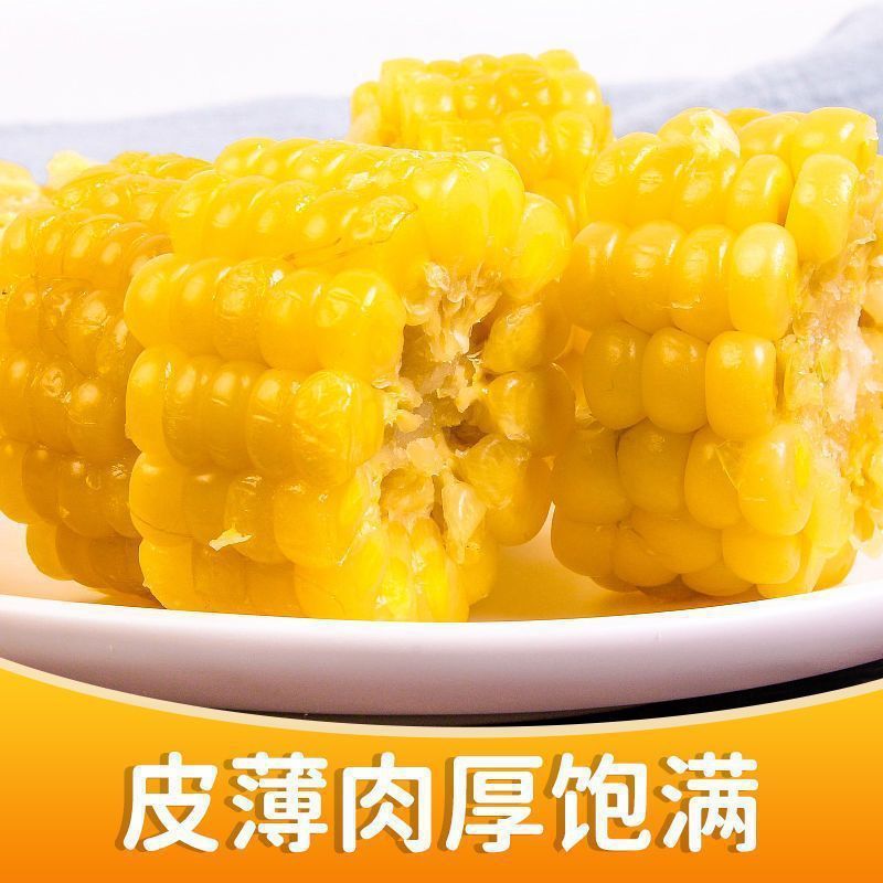 甜脆水果玉米段免煮开袋即食甜脆包谷甜苞米早餐轻食代餐清甜好吃|undefined