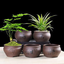 紫砂多肉陶瓷花盆复古室内老桩桌面兰草菖蒲盆栽创意拇指盆景特价