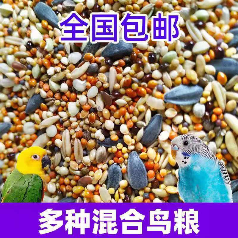 混合鳥の餌 鳥の餌 オウムの餌 タイガーピーチ 黒鳳凰 牡丹 五色雑穀 食品雑穀 250g シェル付き|undefined