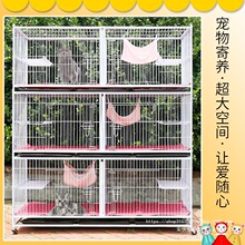 ���l؈�\؈��ֳ�\����؈�\�ӷ�ֳ�\�����\؈��؈�\��ֳ�p�Ӽ�����