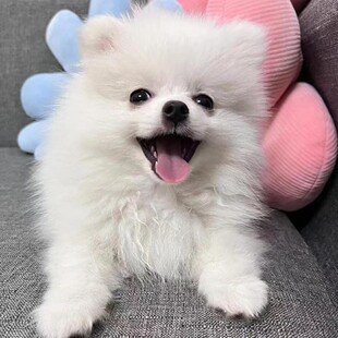 ���N�pѪ�y������Ȯ���w�����BС�����pȮ����Ȯ����Ȯ�豭Ȯ���l