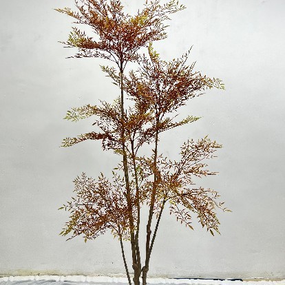 新中国式茶室景観装飾シミュレーション緑植南天竹鉢植え室内ショーウインドー着地造景装飾緑植|undefined