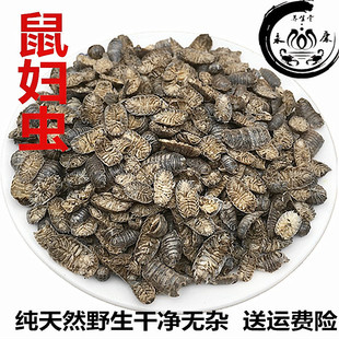 ��؛��D�x250�� ��D ���x �F���x ��ʭ�� ��ʭ�� ���]��؛��؛