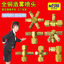 �����S�F�����^�߉����F�܇��^���� �����ș�F�����F�����^