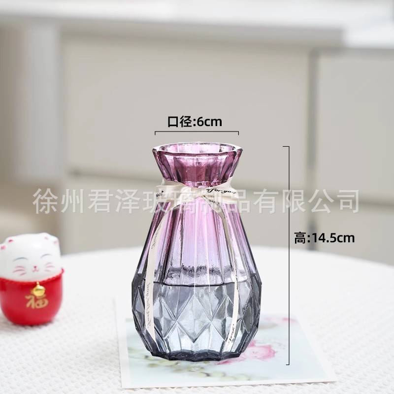北欧创意透明玻璃花瓶水培绿萝植物干花鲜花插花瓶客厅装饰摆件|undefined