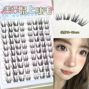 Glue-Free French Beauty Chipmunk False Eyelashes for Lazy People, Segmented Mouse-Type Ultra-Fine Stems, Natural Simulation for Novices to Look Photogenic