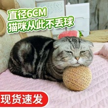 ؈���6cm؈�䄦���򳬴�l���˽␞������؈��؈�������Ʒ��