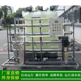 供应2T/H纯净水设备涂料生产用反渗透纯水设备去离子水处理装置