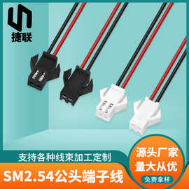厂家直销SM端子线 2.54mm间距公头带翅膀2P端子线 照明灯饰连接线