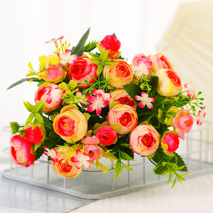 ?�F؛���l�¿������õ�廨���Ҿӻ�c�b��㻨���zӰ�[�Ļ�