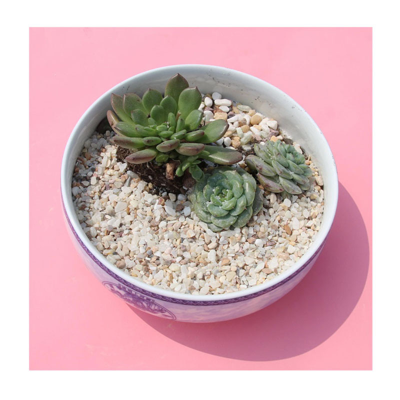 װúڰ׶ʯ | ¥̵ʯװ | ɫ쾰ʯ