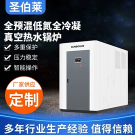 蒸汽发生器;燃生物质锅炉;其它工业锅炉