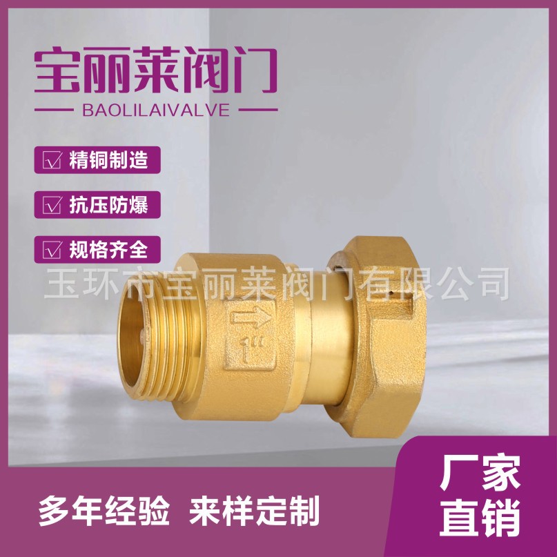 表前止逆阀坑干扰单向阀4分6分自来水表防空转表前表后伸缩止回阀