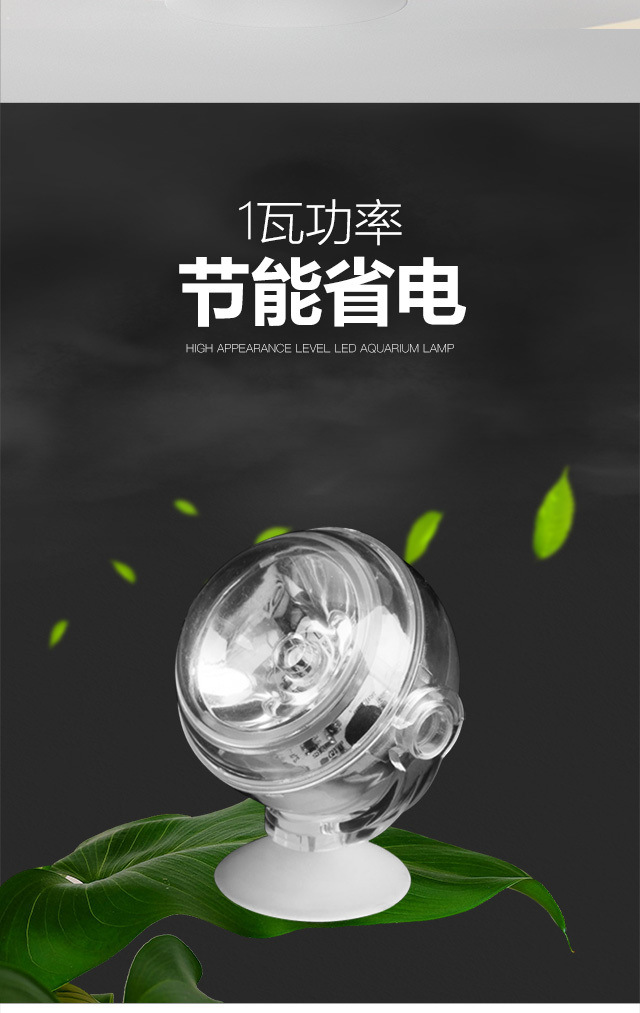 567f1a91-8be8-4090-81b8-a84e1c866d29.jpe