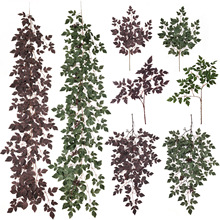 �羳����ж��~���~��ɫ�ٗl �ж����f�}���S�չ��٘�֦�ҾӒ��