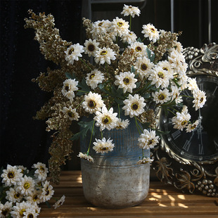 ��֦��ʽ̫ꖻ��͹ŷ�������͏d�������W�ҾӼٻ��b���ˇ�[��