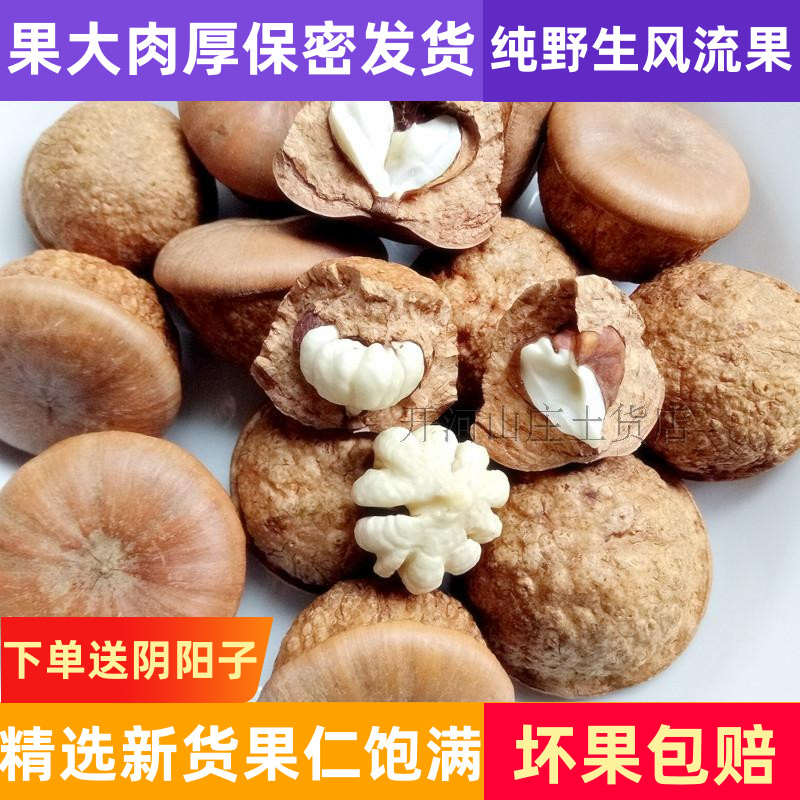 风流果野生500g 男性泡酒料石头果广西梧州特产胖头果厚鳞柯