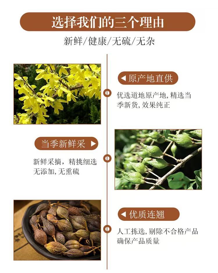 Forsythia Fruit Lian Qiao 连翘 Green Qing Qiao Dried Herb 500g for Decoction and Culinary Use key features
