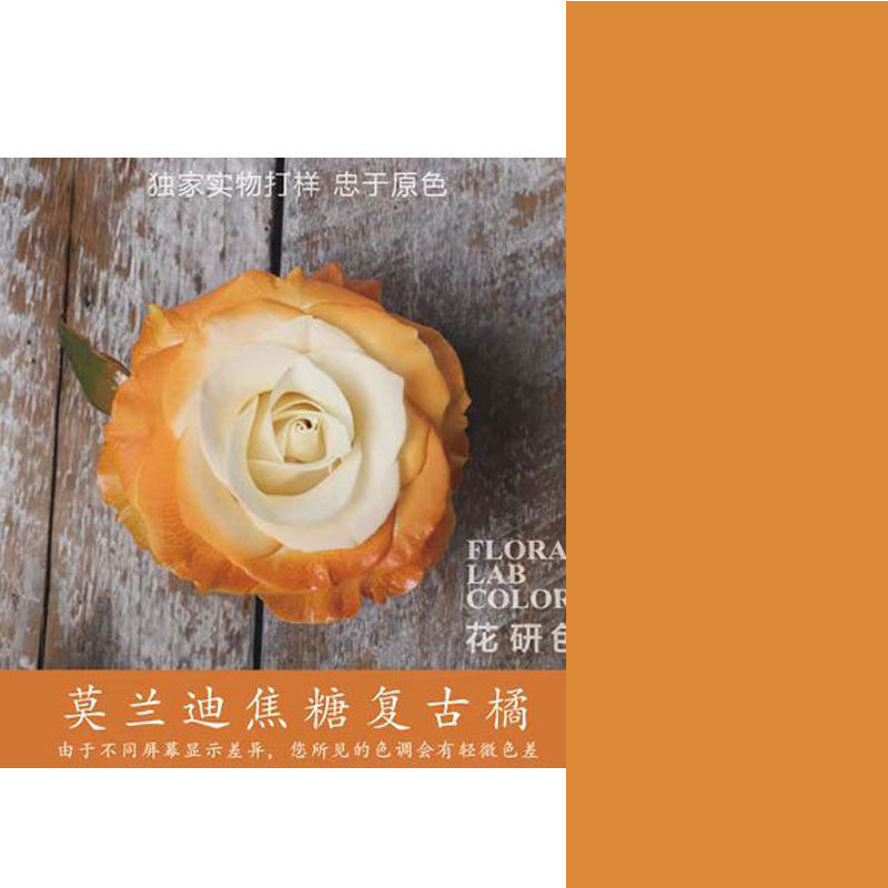 모란디 카라멜 빈티지 국화