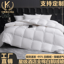 星级酒店羽绒被95%白鹅绒春秋冬被子鸭绒冬天棉被芯冬季加厚保暖